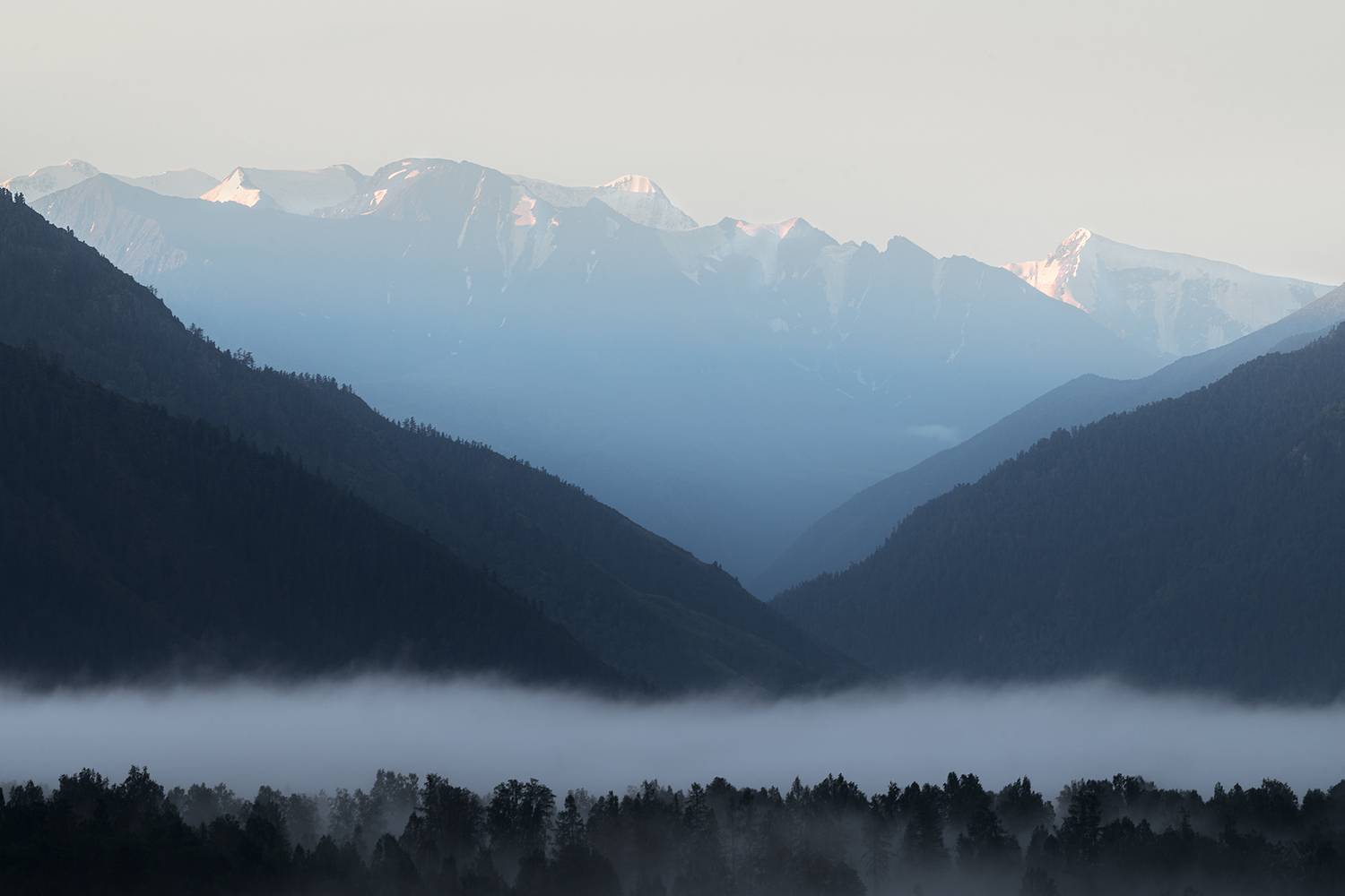 белуха, горный алтай, Андреева Светлана