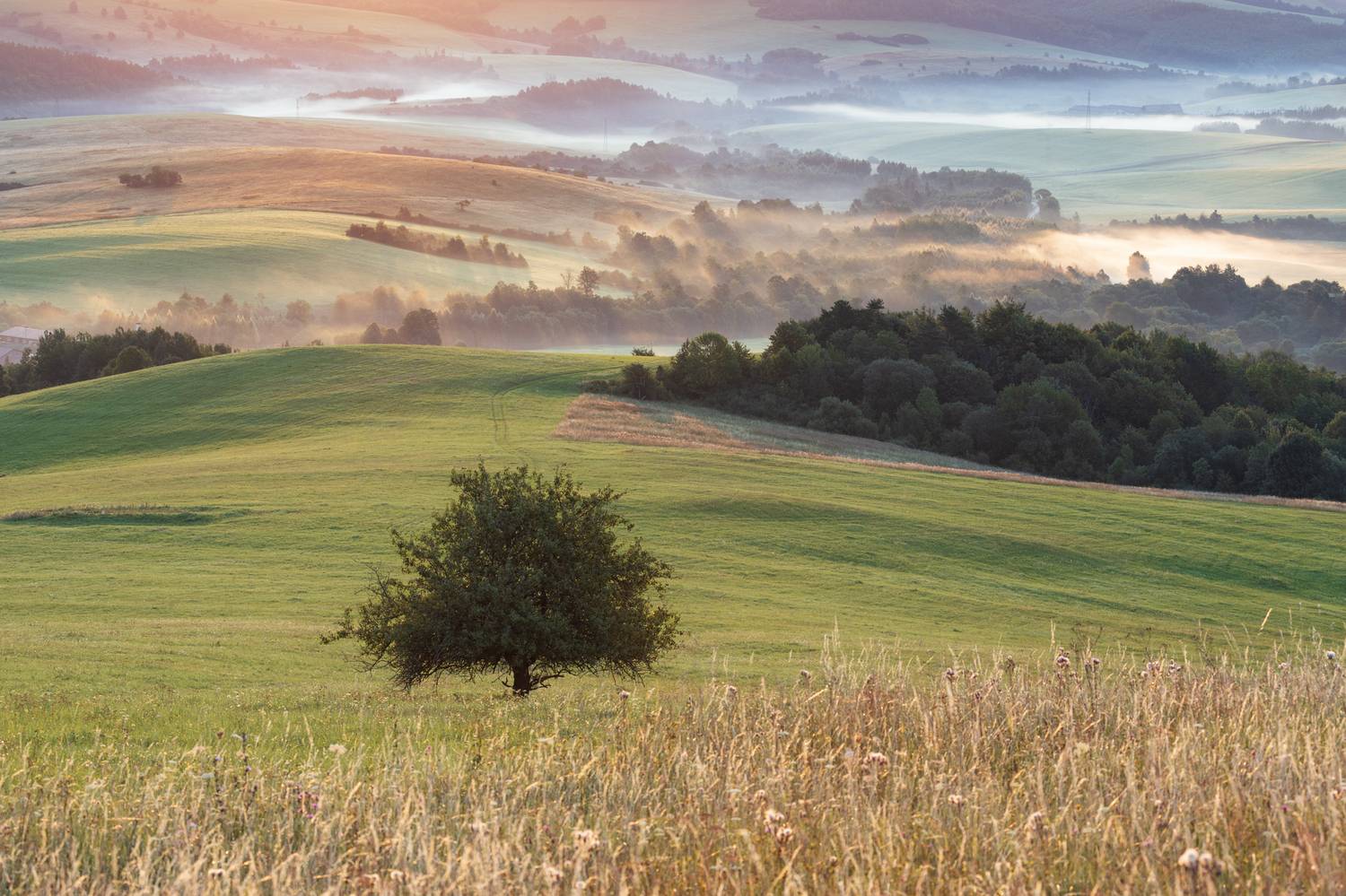 ,  Mirosław Pruchnicki