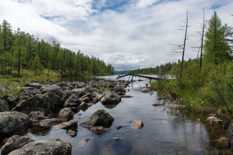 Желтое озеро фото превью
