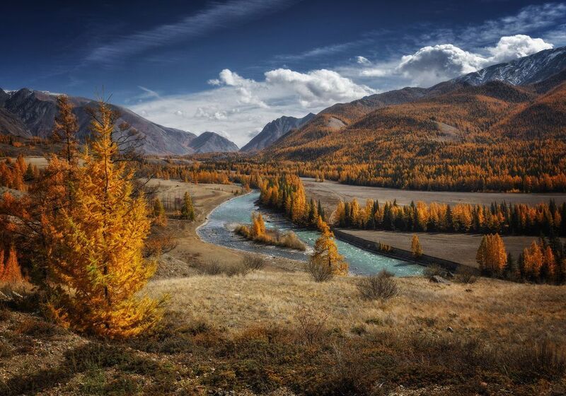 алтай, озеро, горы, лес, природа, закат, рассвет, красота, приключения, путешествие Осенняя Чуя фото превью