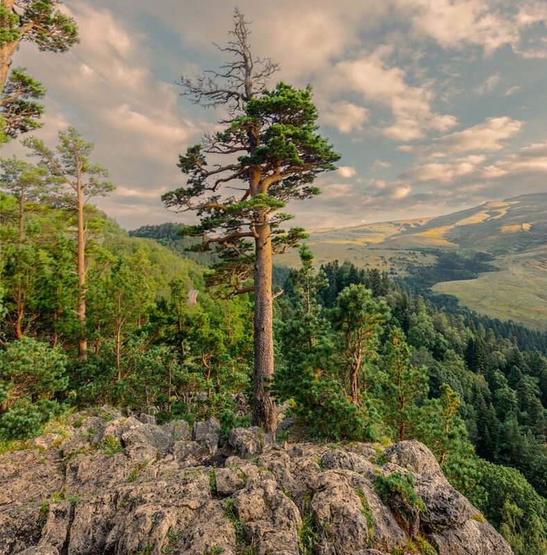 плато Лаго-Наки фото превью