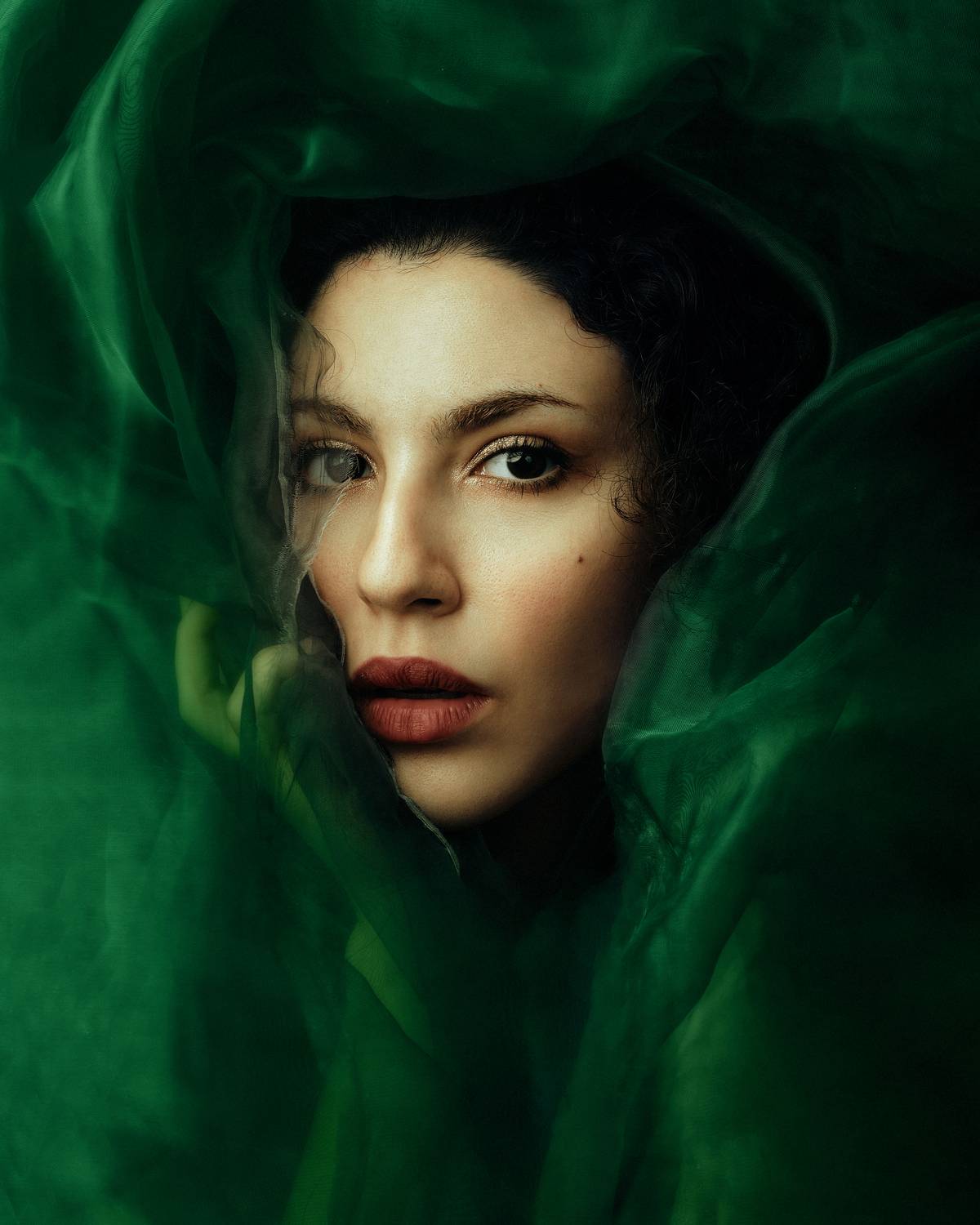 , Hamidreza Sheikhmorteza