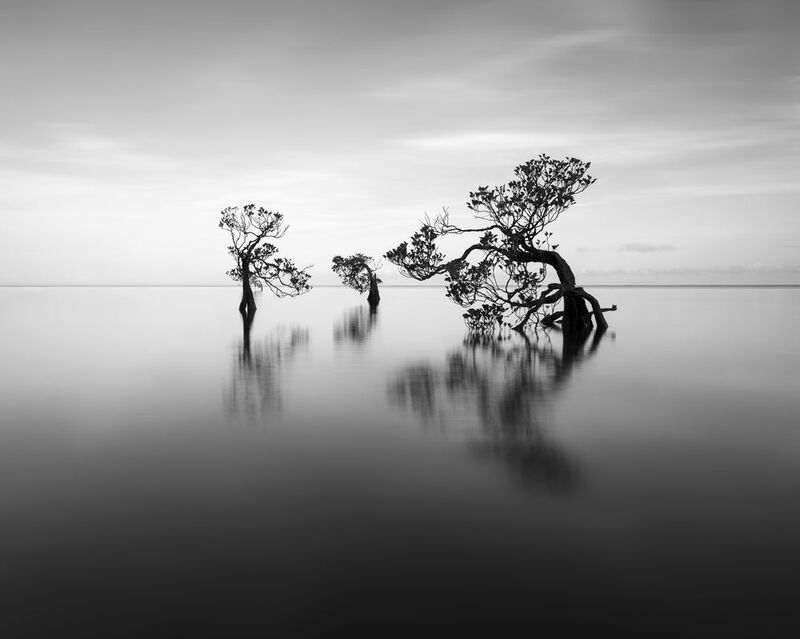 Танец фото превью