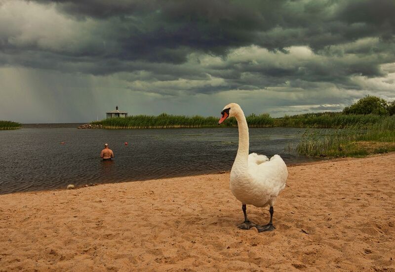 сюжет фото превью