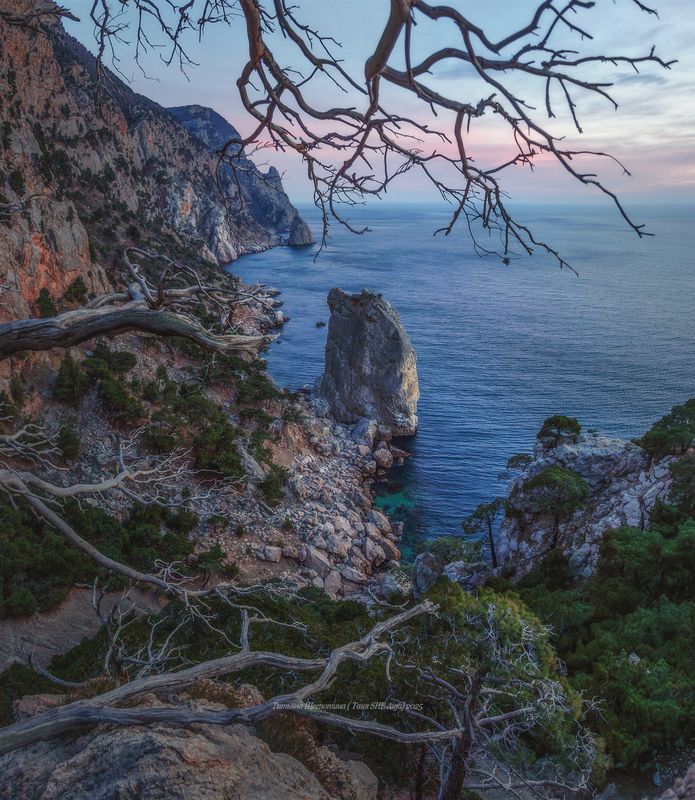 севастополь, крым, seascape, пейзаж, crimea, landscape, морской пейзаж, мыс айя, закат, инжир Инжир фото превью