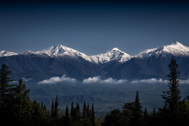 Tsinandali фото превью