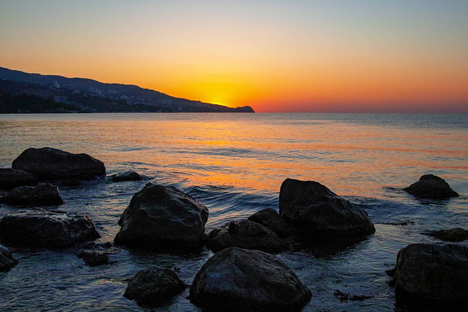 sigma sd quattro, Дмитрий Цыпляев