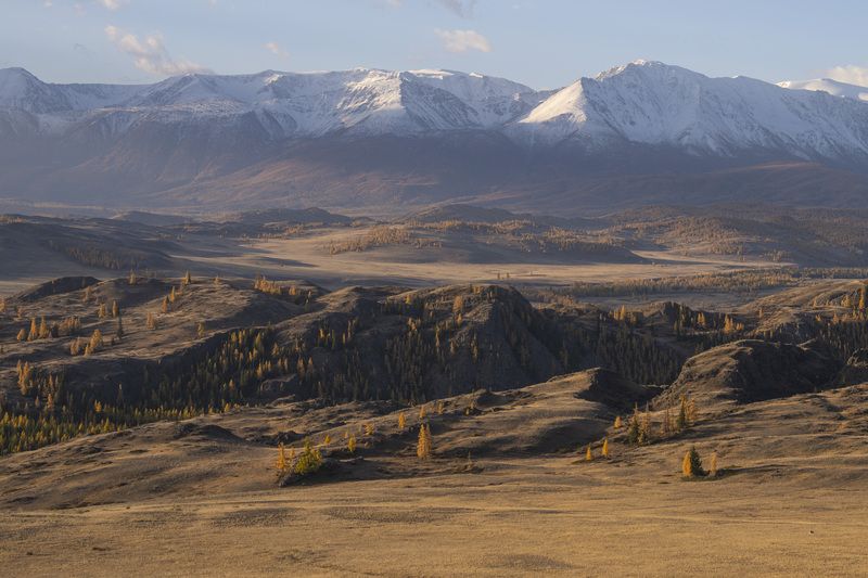 алтай, осень, горы, Алтай фото превью