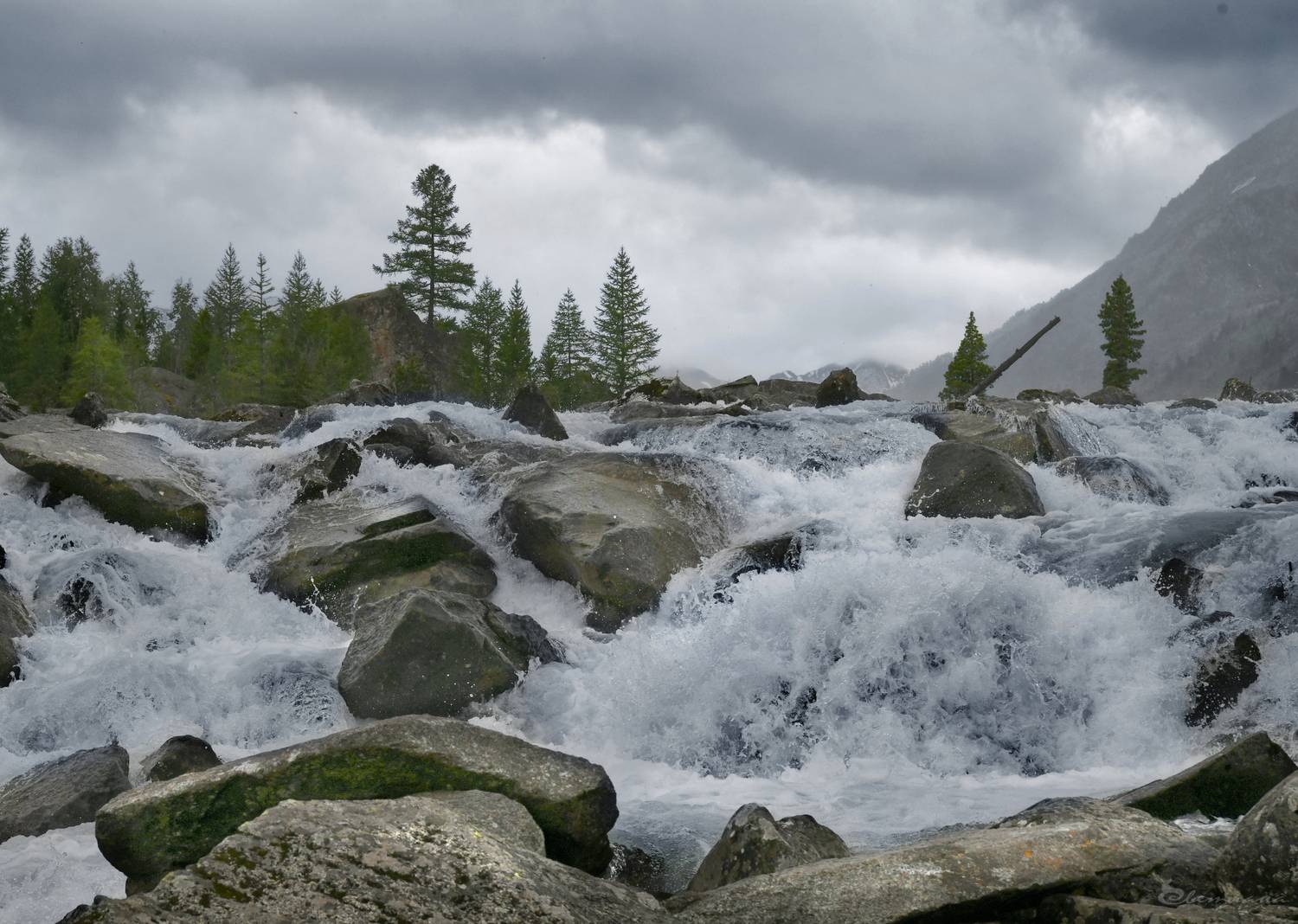 , Крат Светлана