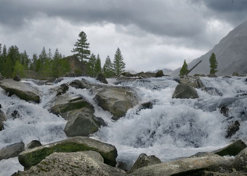 Летний Алтай фото превью