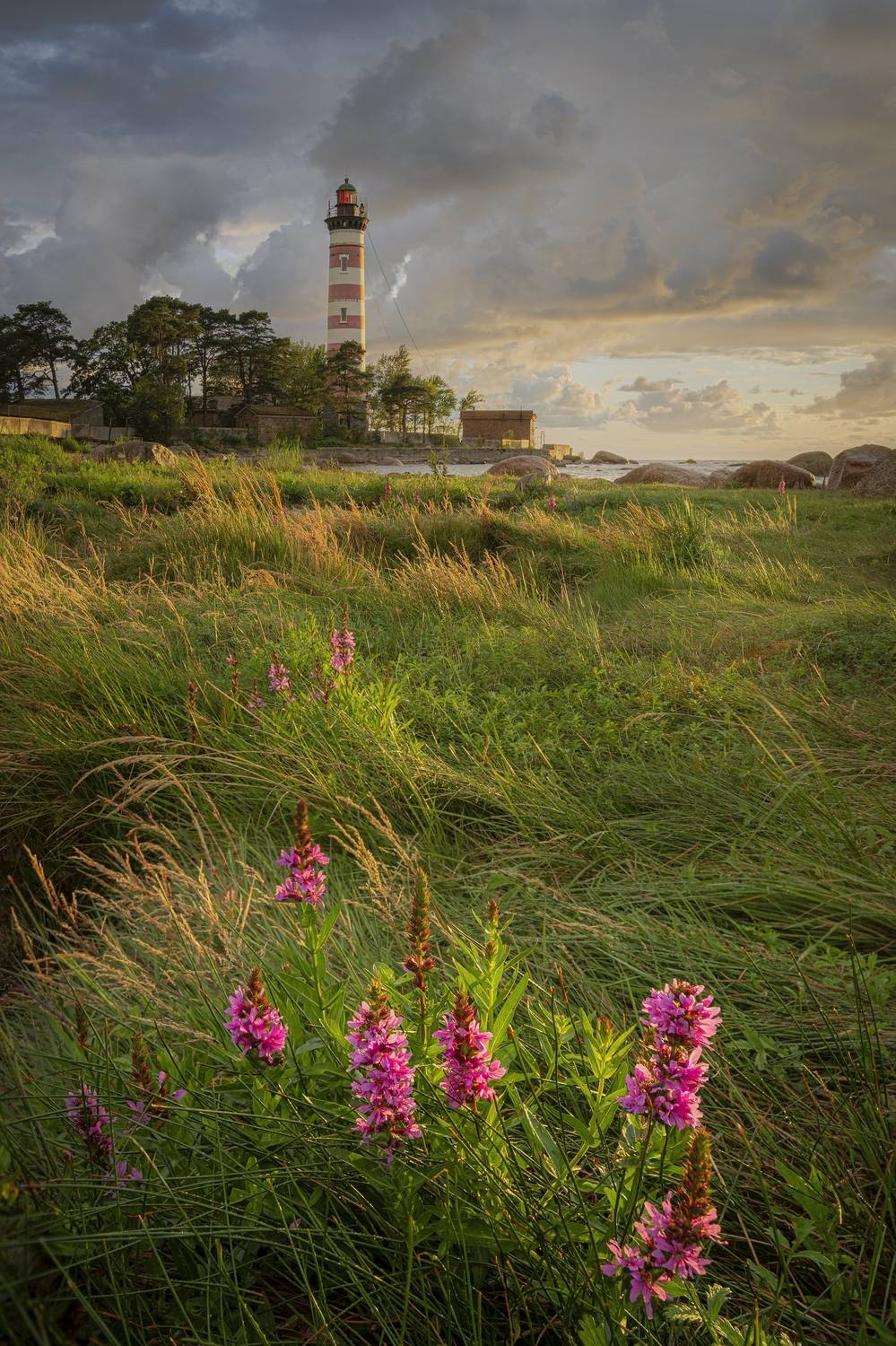 шепелёвский маяк , финский залив , золотой час , закат, Черкасов Александр