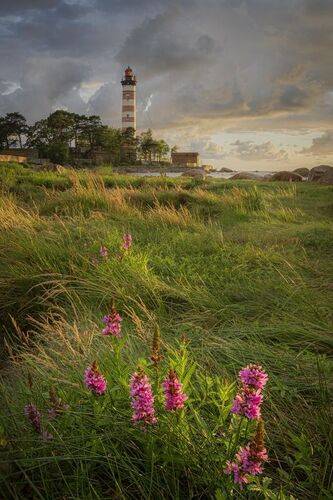 В уходящих лучах заката