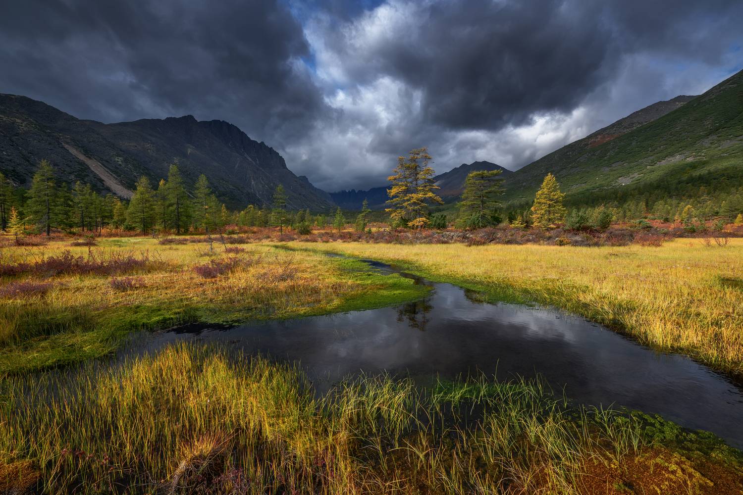 озеро джека лондона, Евдокимов Максим