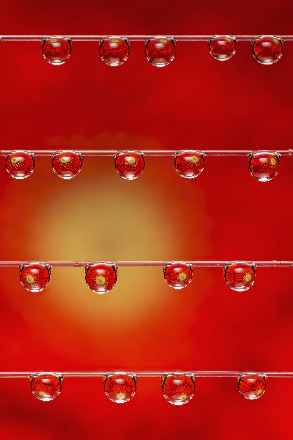 , Максим Вышарь