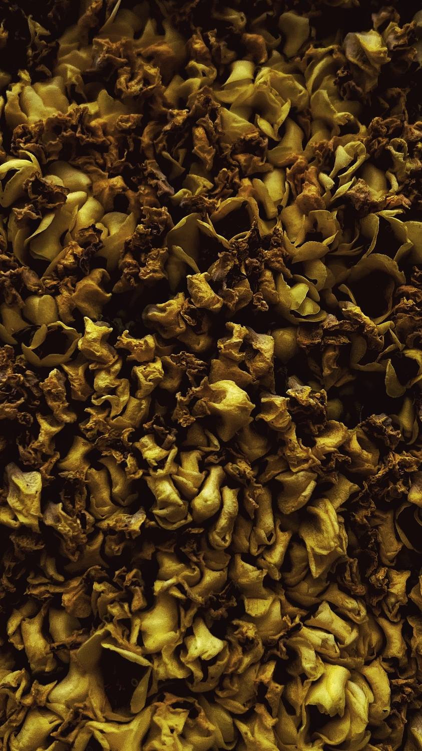 , დოლიძე ირაკლი