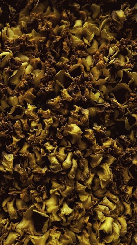 Golden фото превью