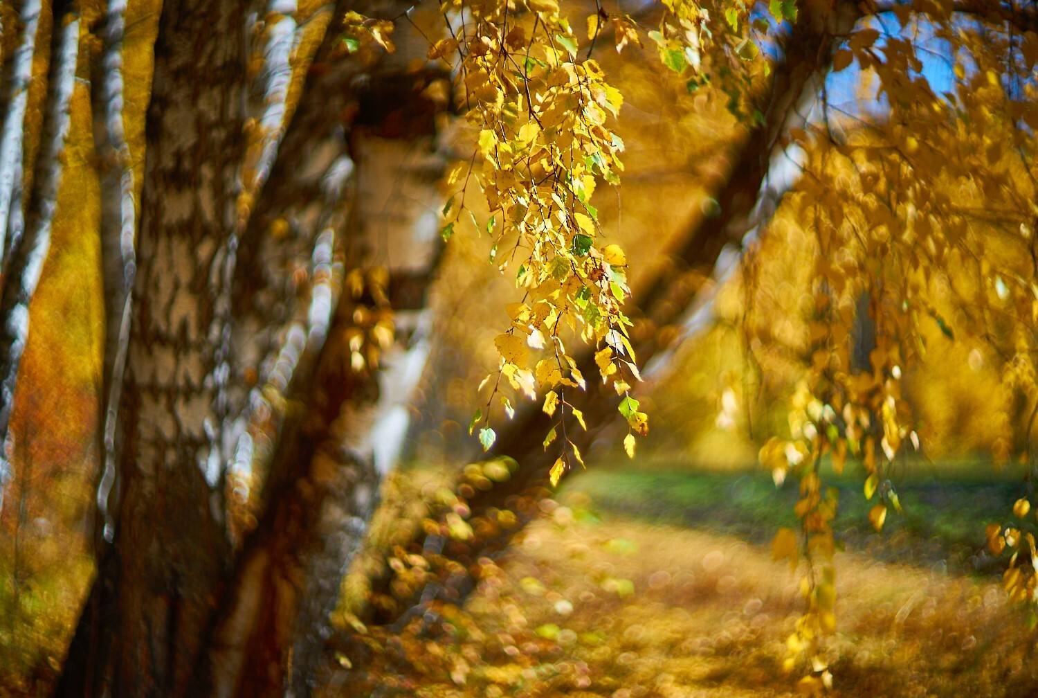 гелиос-40, Vlad