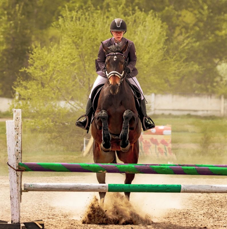 Ипподром, лошади, соревнования, наездницы. Соревнования  фото превью