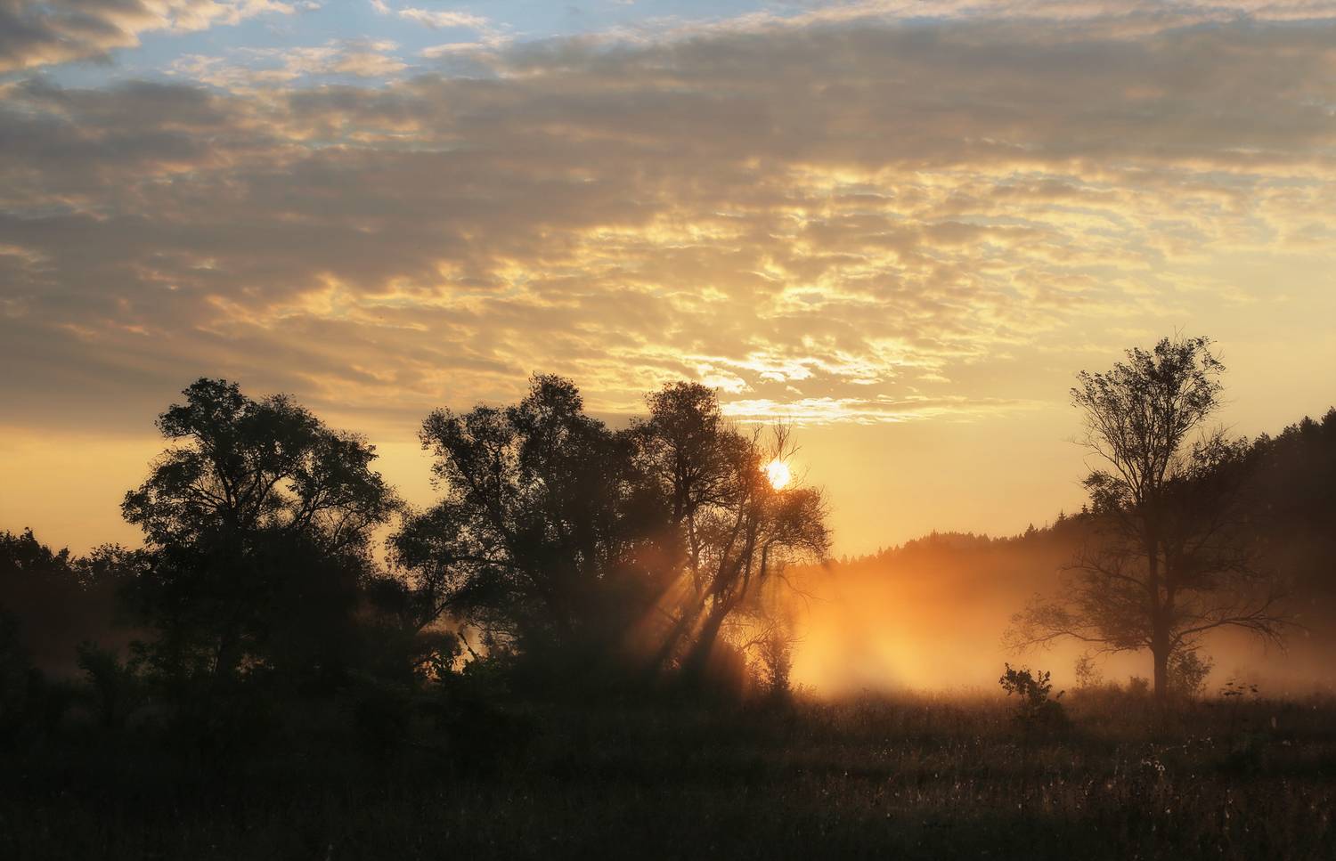 , Lozhkin Vyacheslav
