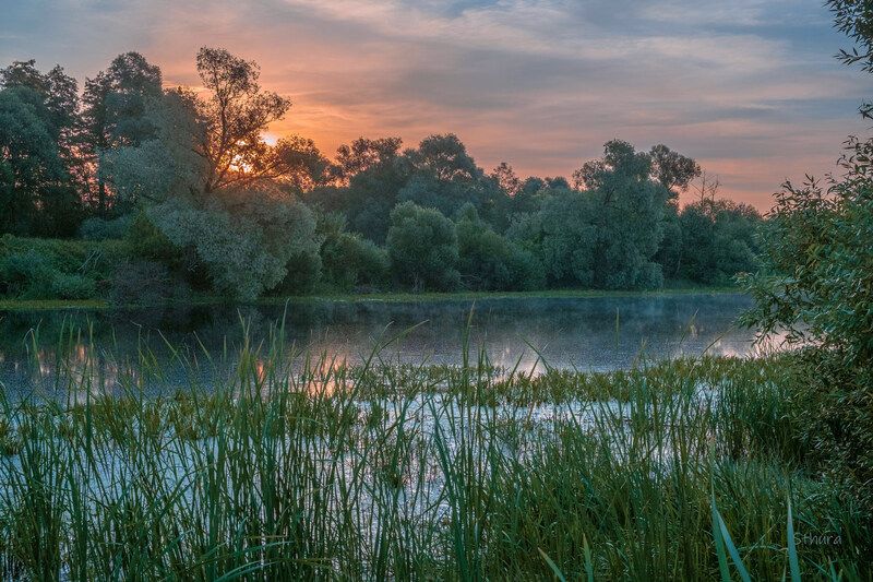 Летнее утро. фото превью