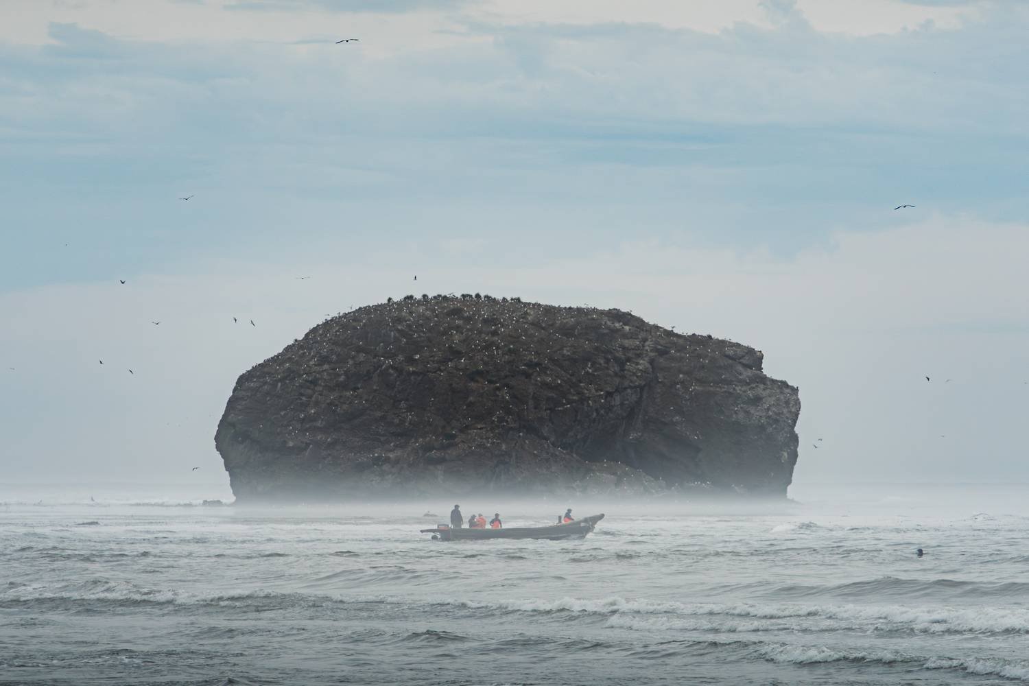 , Антон Сидоров