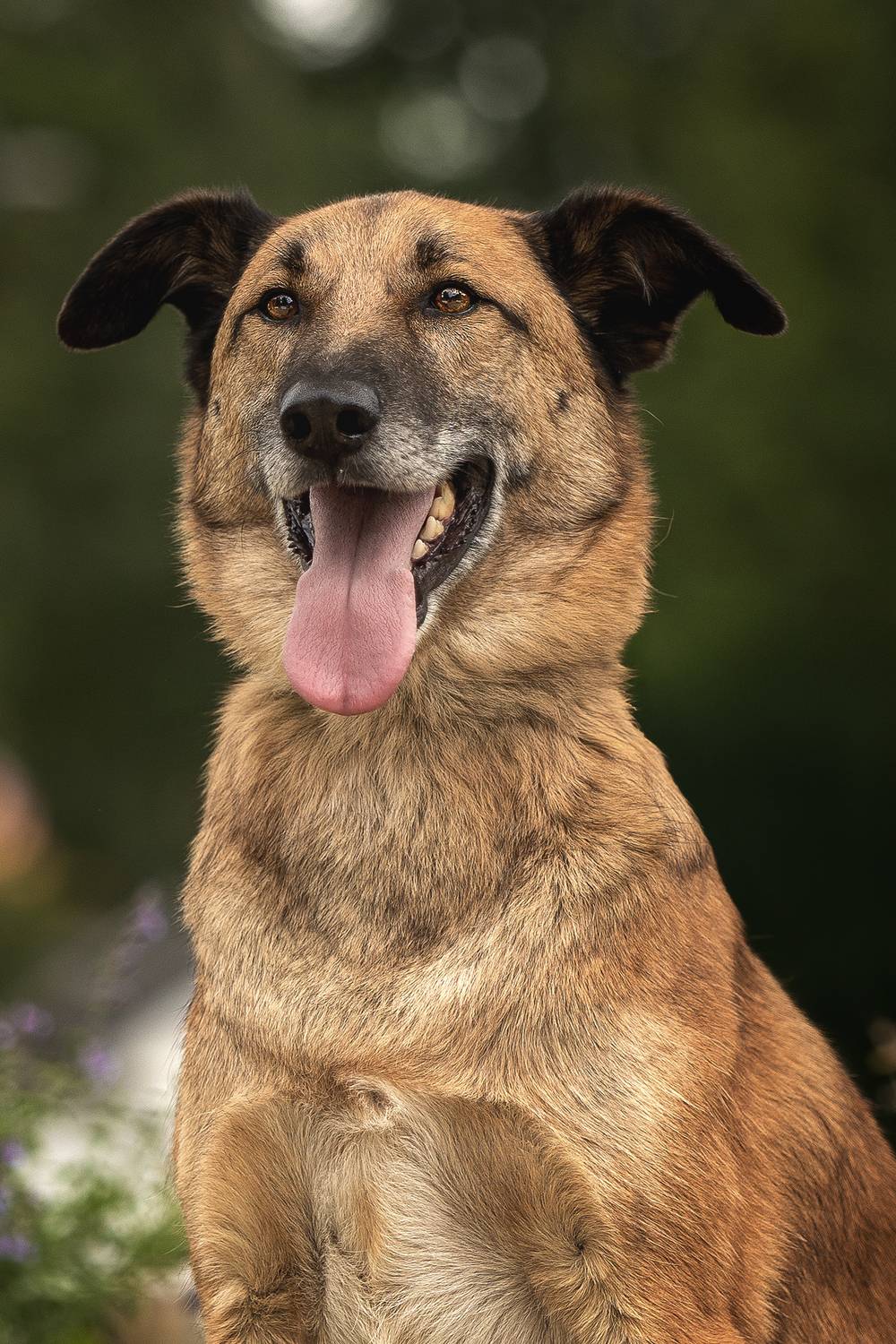 , Елена Самусенкова