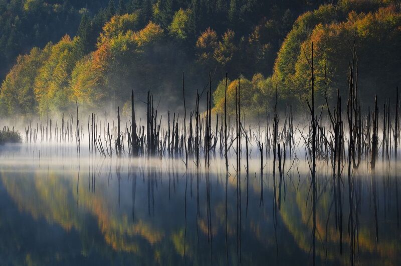 2024 фото превью