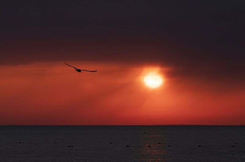 Вечер в Витязево фото превью