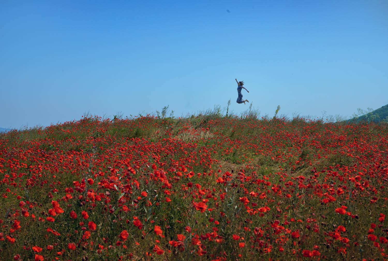 , Туева Наталья
