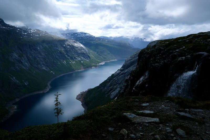 Landscapes, Fjord, Norway, Tree, Mood, Mountains, View,  Одинокая рябина фото превью