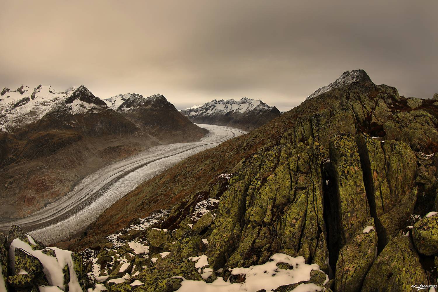 swiss, Матвеев Николай