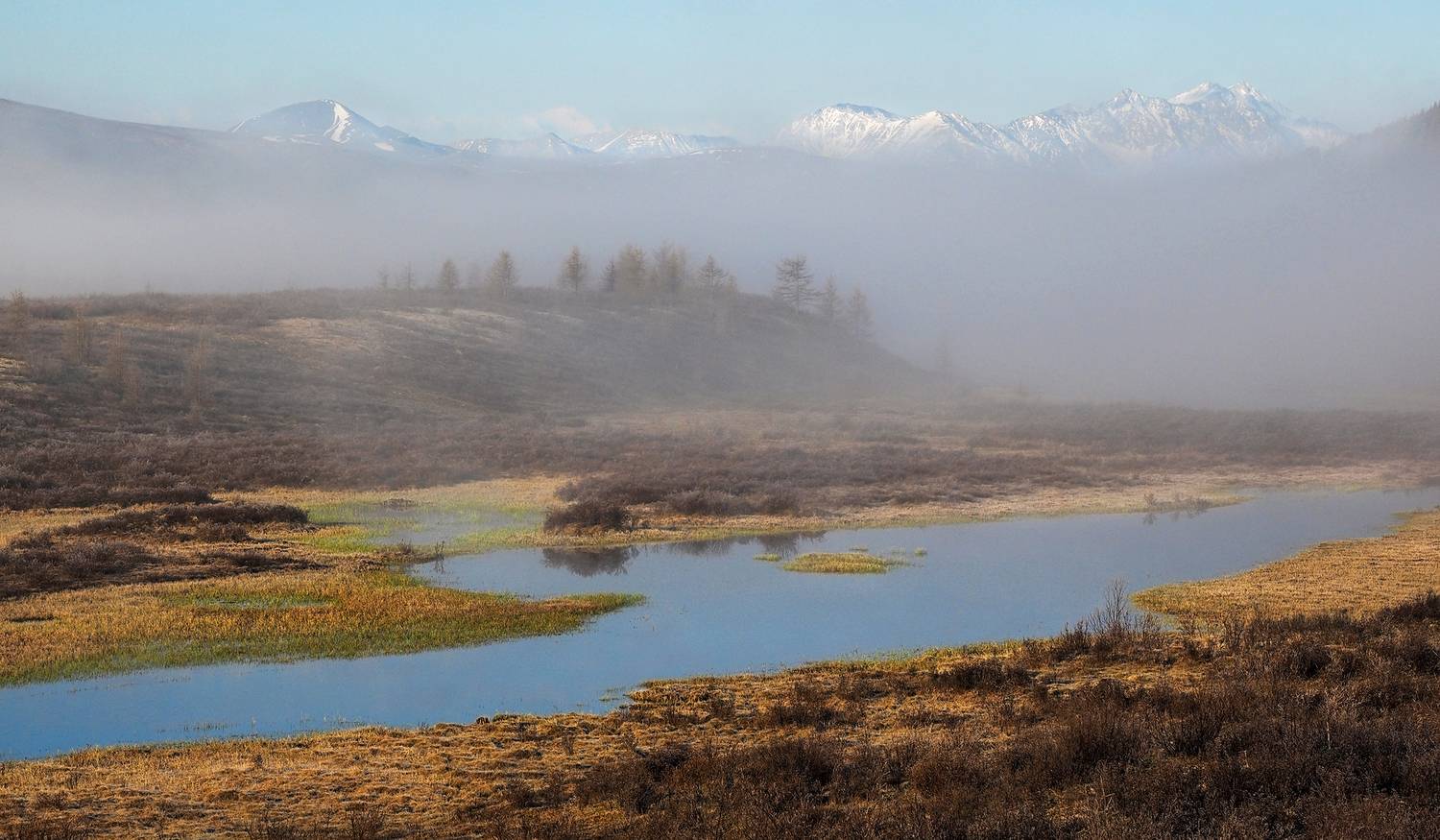 , Александр Попов