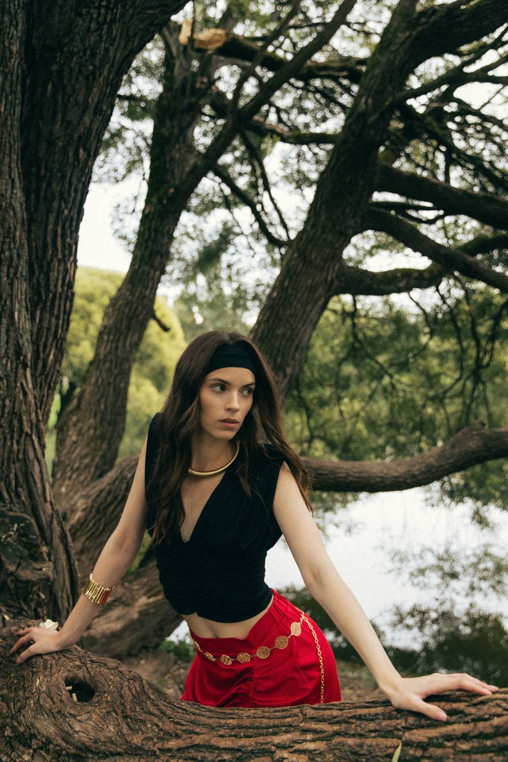 , Сергей Антонов