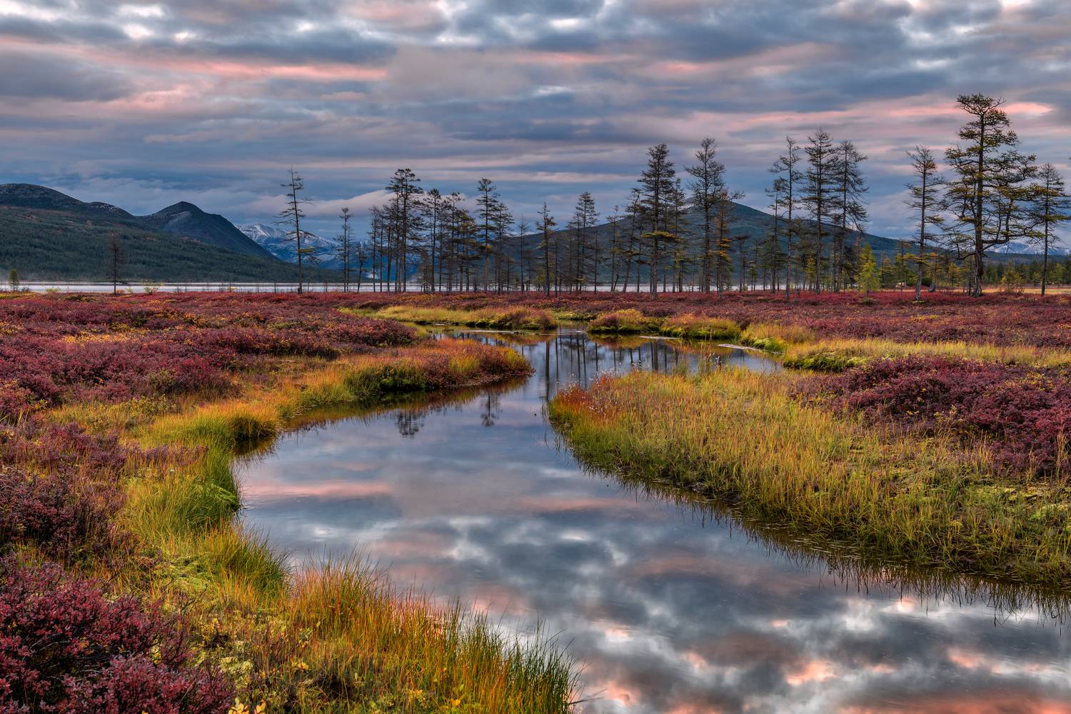 озеро джека лондона, Евдокимов Максим