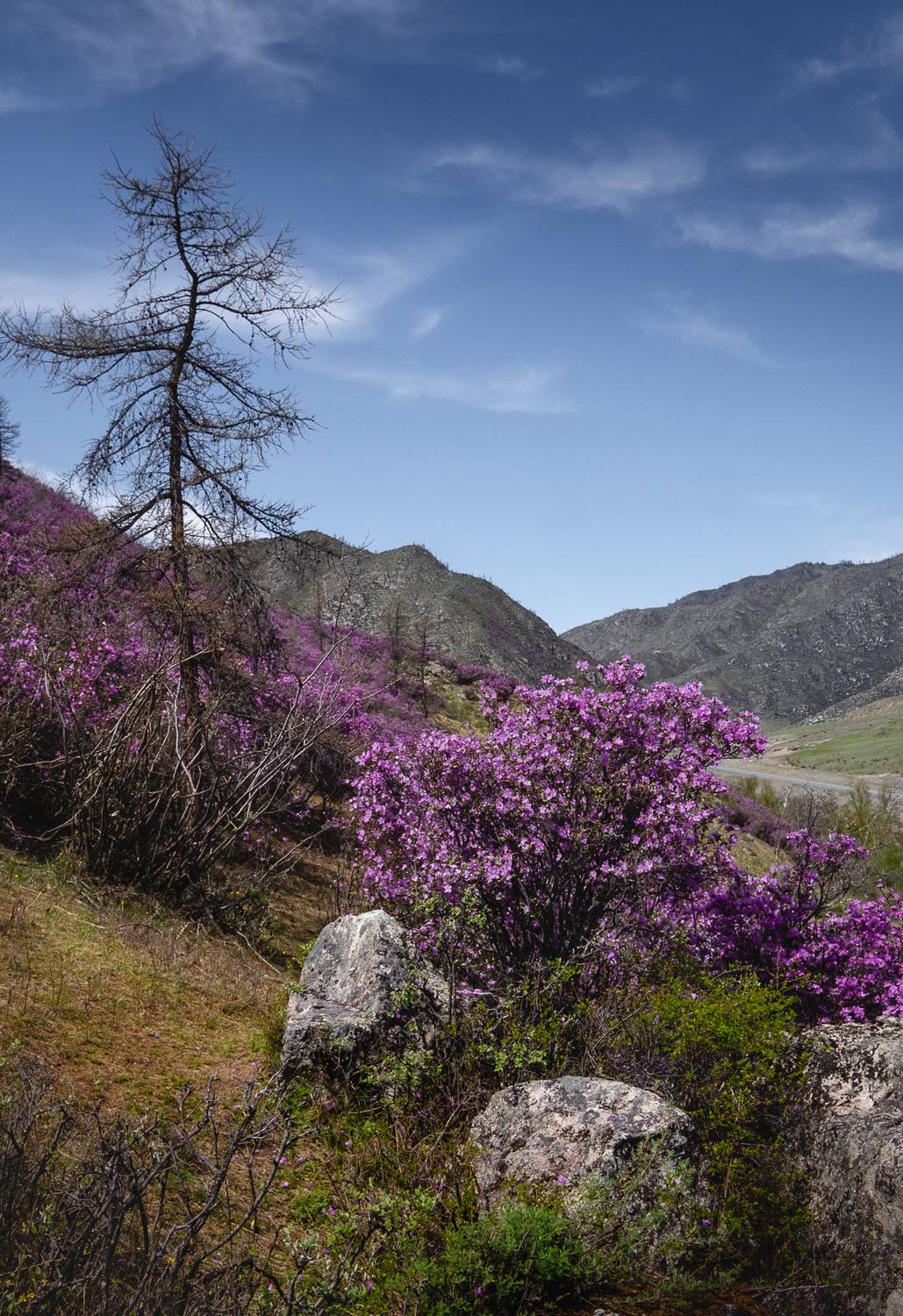 , Коротеев Вадим
