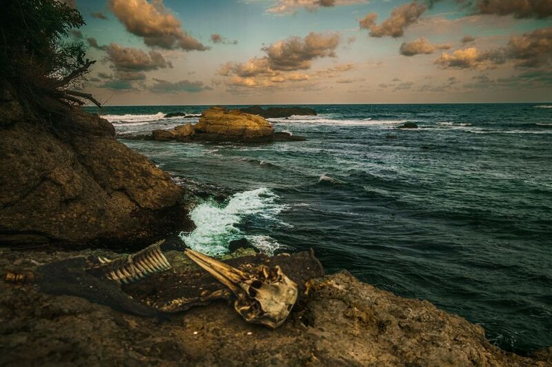 Присутствие фото превью