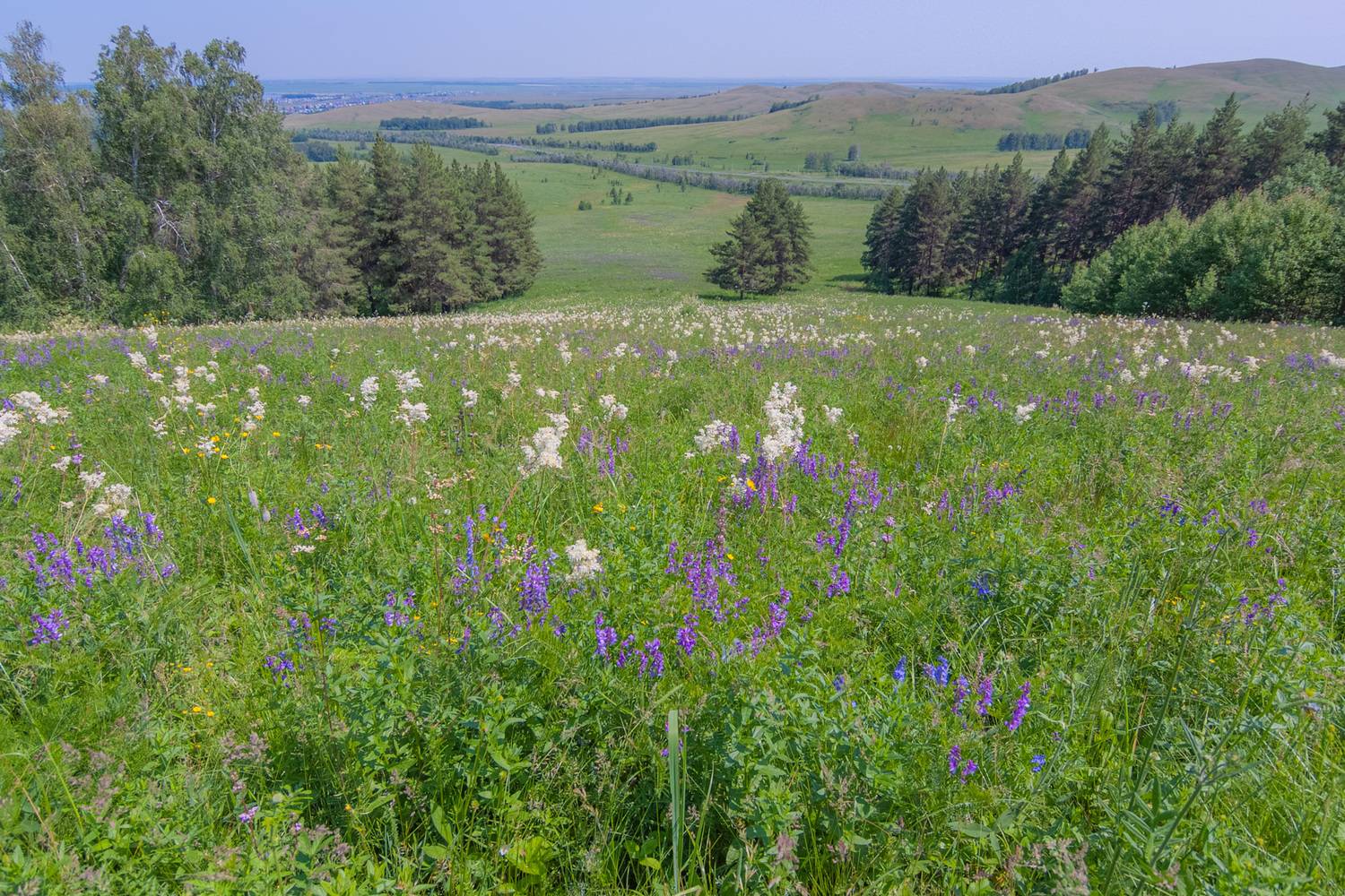 , Шустиков Дмитрий
