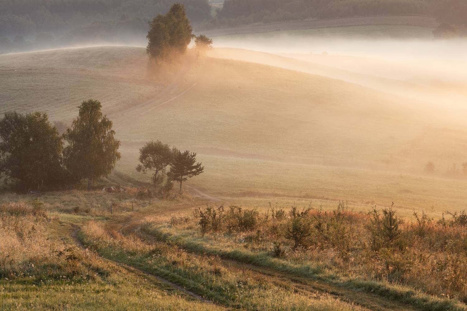 ,  Mirosław Pruchnicki