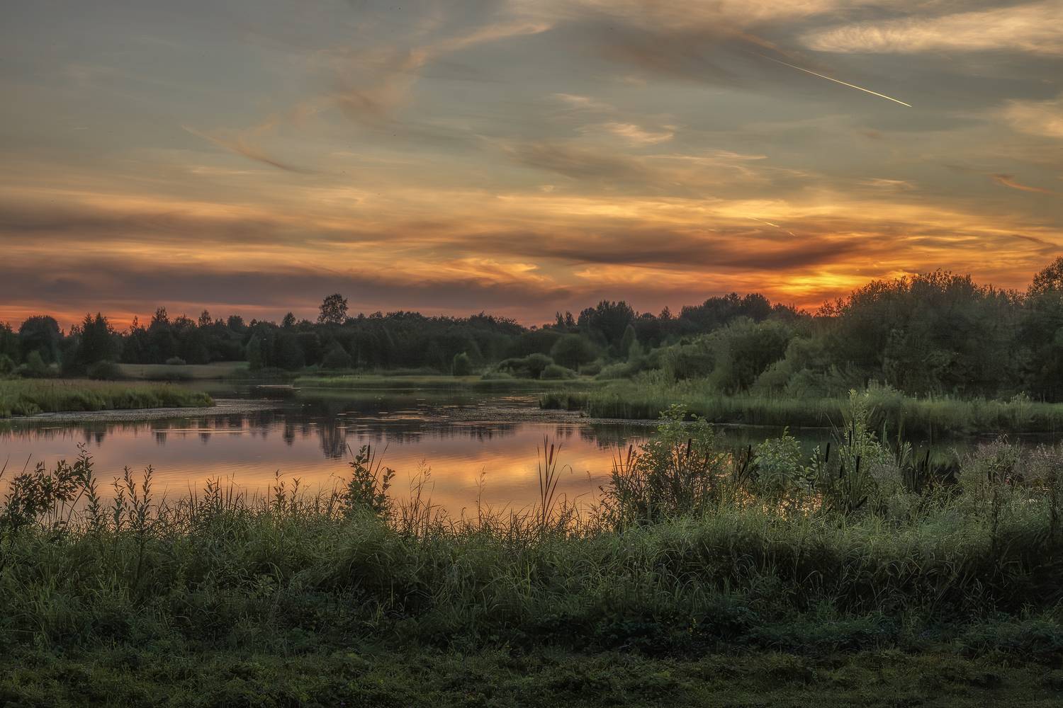 тверская, область, Гусева Елена