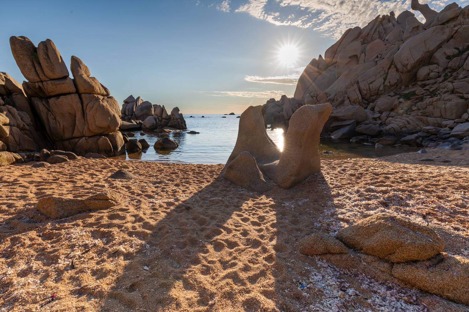 , Евгения Чех