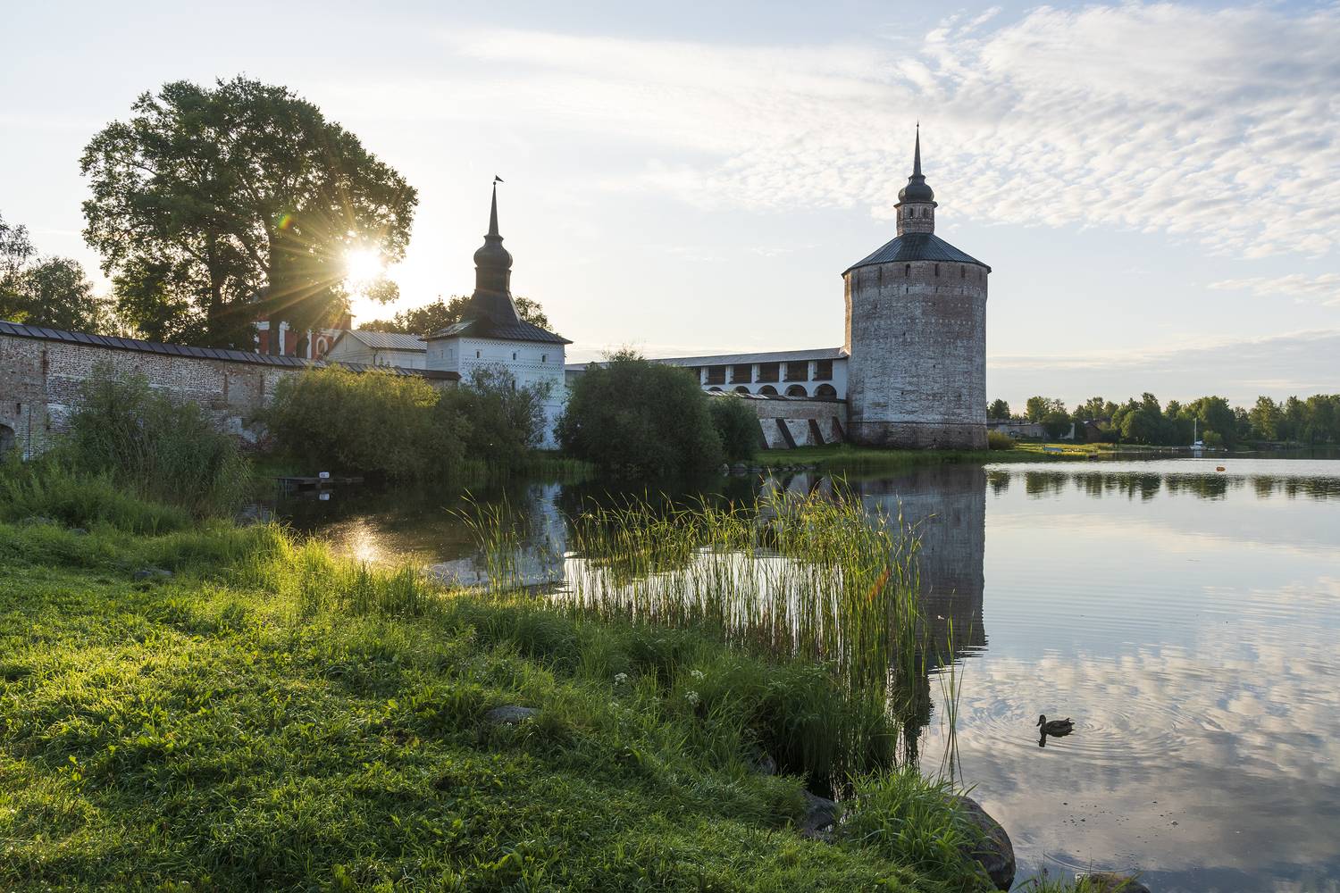 , Дмитрий Новоселов