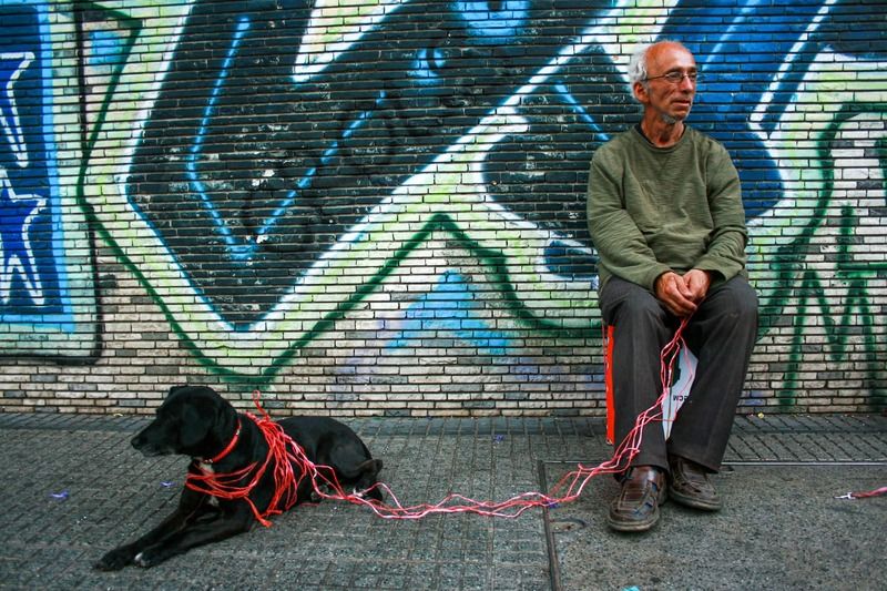 streetphotography, street, fotografía callejera, bastian cifuentes araya, periodista furioso, streetphoto, street photo, street photography, dog, perro SIN TÍTULO фото превью