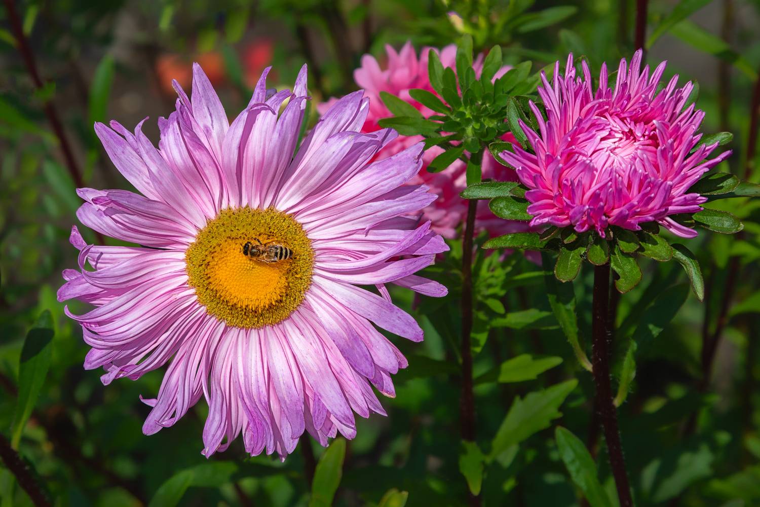 , Ушаков Валерий