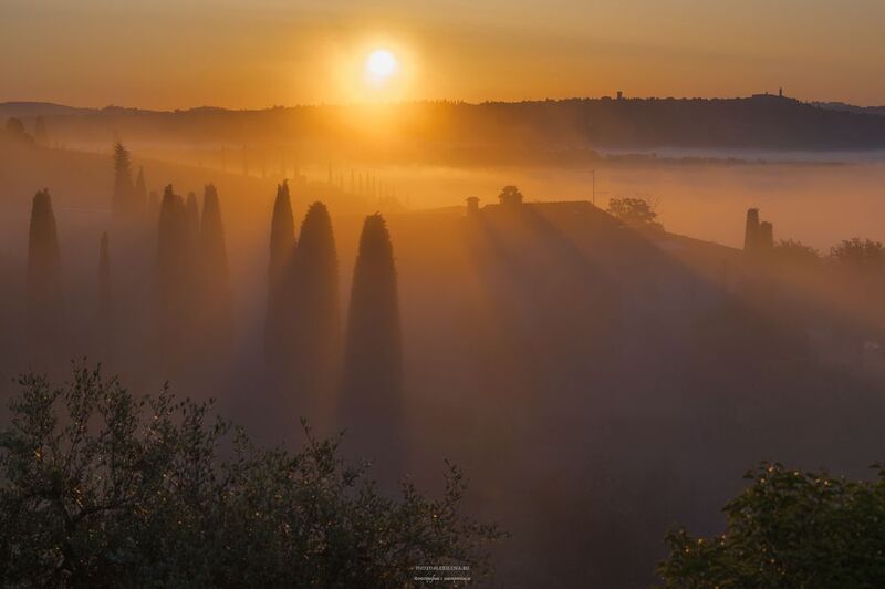 Тоскана, туман, италия, утро, кипарисы, пейзаж, солнце, восход Волшебное утро в Тоскане фото превью