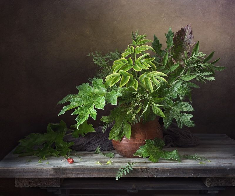 фото превью