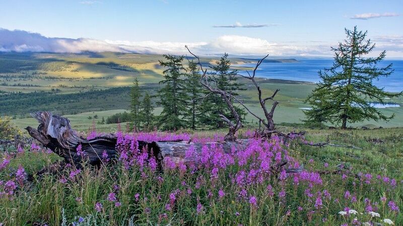 Вечерело фото превью