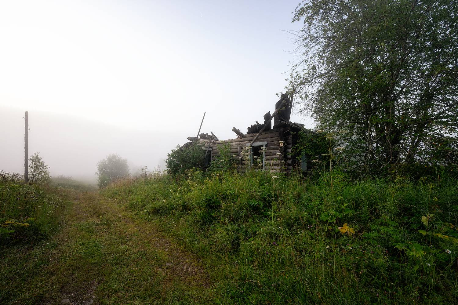 пермский край, пейзаж, рассвет, красота природы, поле, лето, река, природа, дикая природа, койва, лес, усть-койва, Кузнецов Кирилл