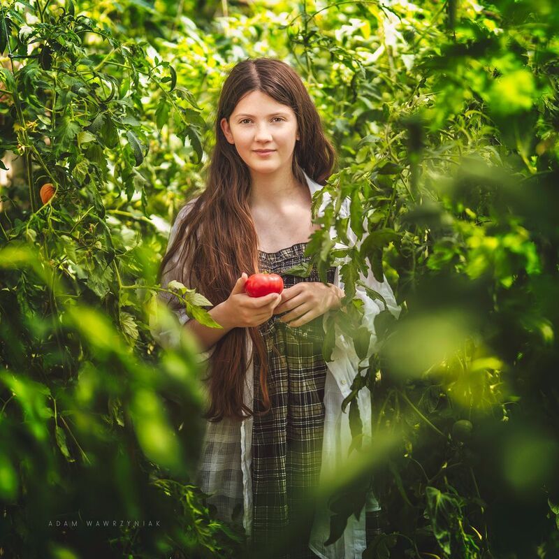 фото превью