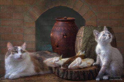 Питомцы рыбака