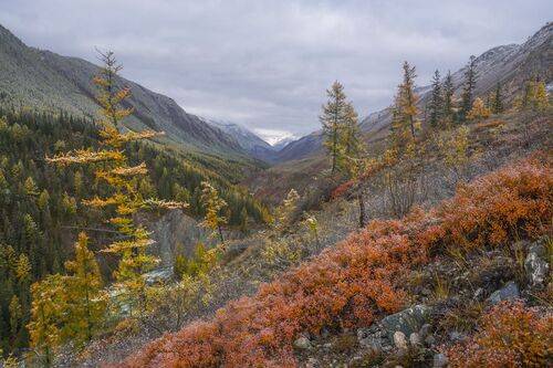 Краски осени